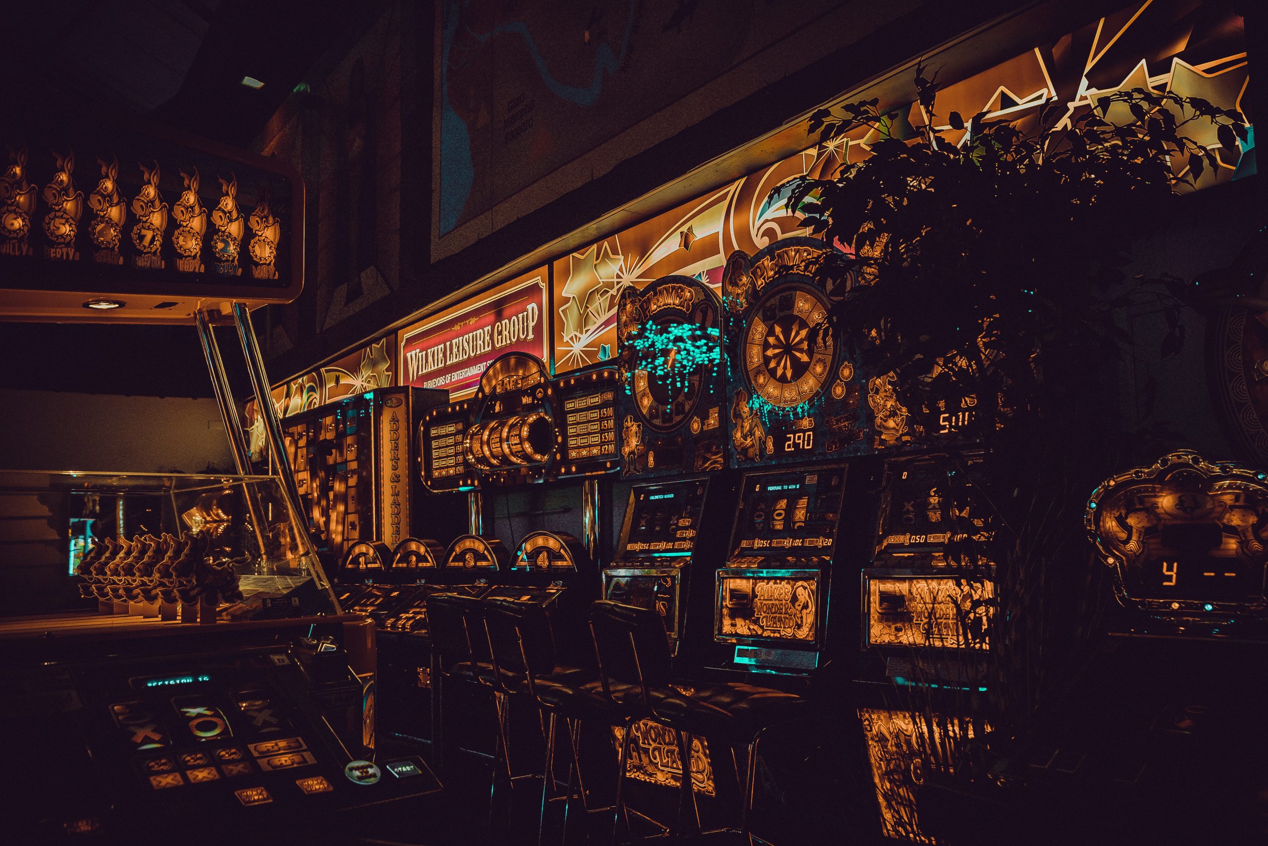carl-raw-o59Gt5O4QZ4-unsplash